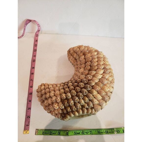 VTG Crescent Moon of Shells - Picture 5 of 9